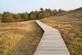 Hiking trail over a wooden walkway to the high dune on the DarÃÅ¸. National park